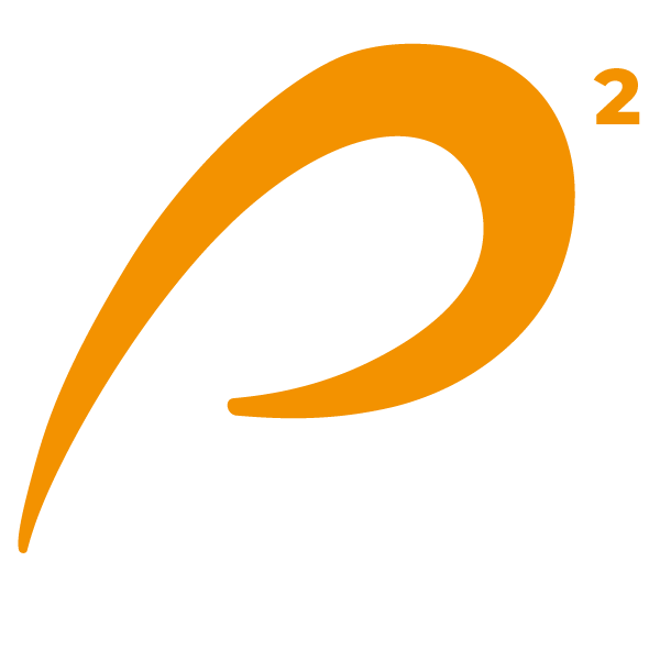 PS2 Ps2 Orange Logo with white text.
